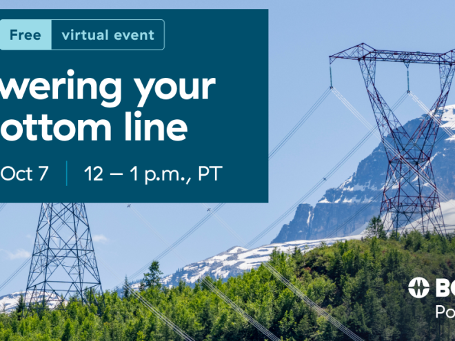 Picture of hydro transmission lines towering above a forest with mountains in the background